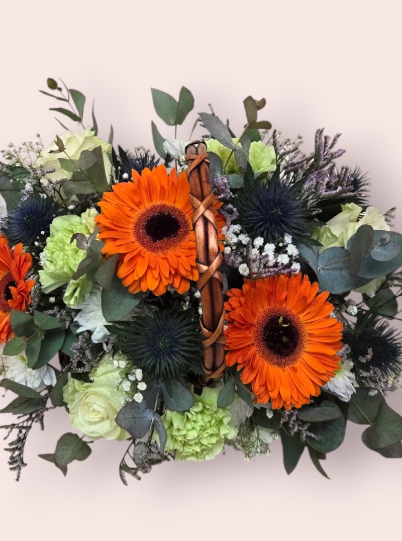 Wild Ember Wild Ember