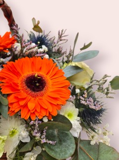 Wild Ember Wild Ember