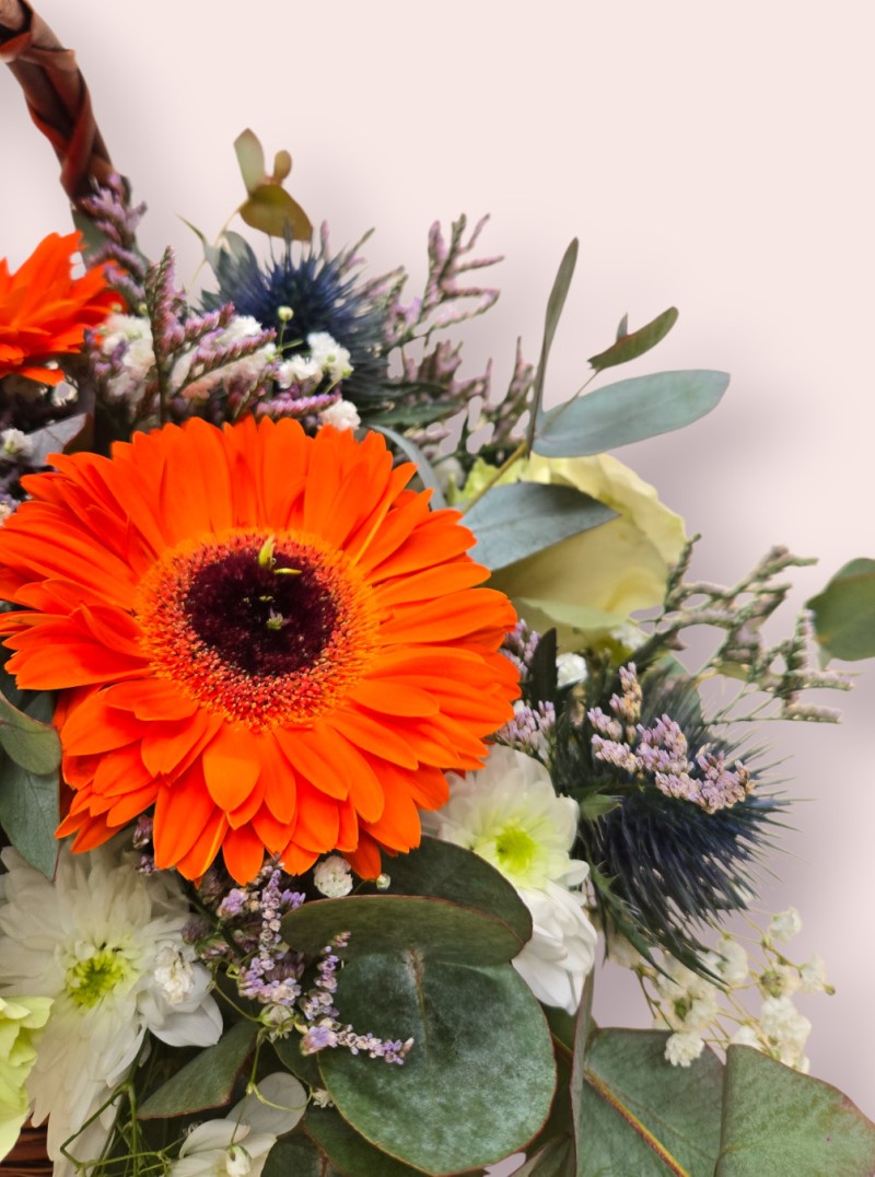 Wild Ember Wild Ember