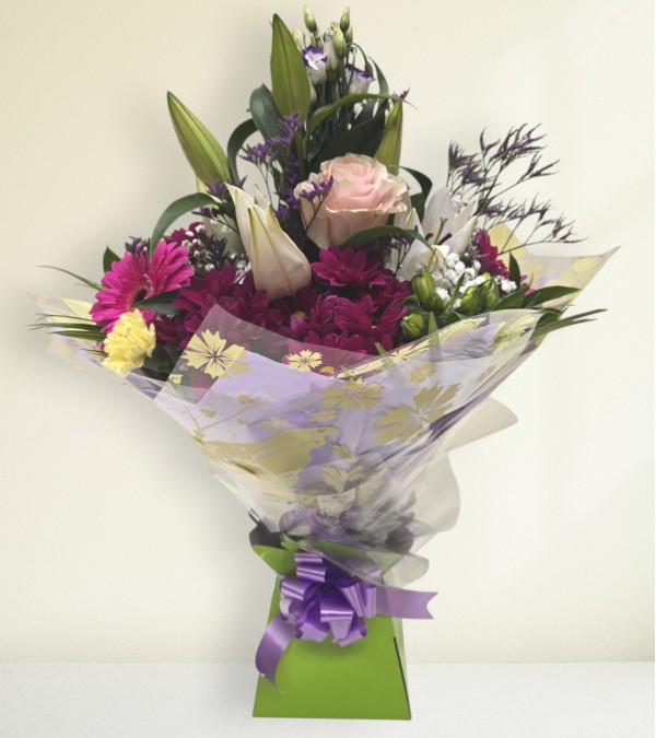 Soft Elegance Soft Elegance