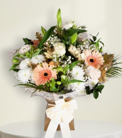 Elegant Winter Elegant Winter