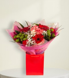 Holiday Sparkle Holiday Sparkle