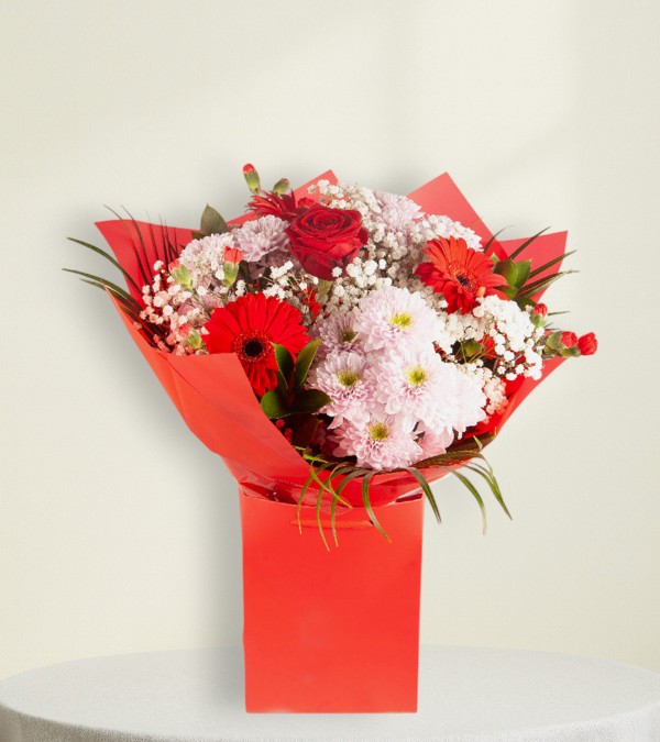 Santa’s Gift Bag Santa’s Gift Bag