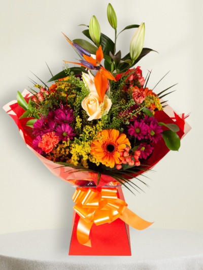 Colour Harmony Colour Harmony