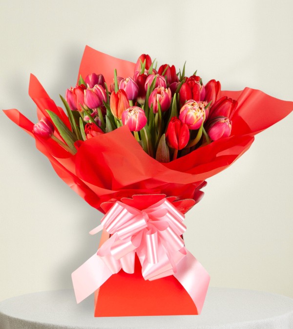 Tulip Symphony Tulip Symphony