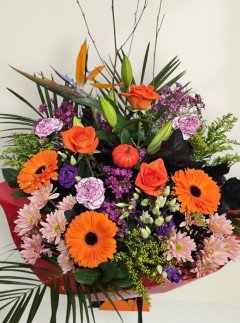 Autumn Enchantment Autumn Enchantment