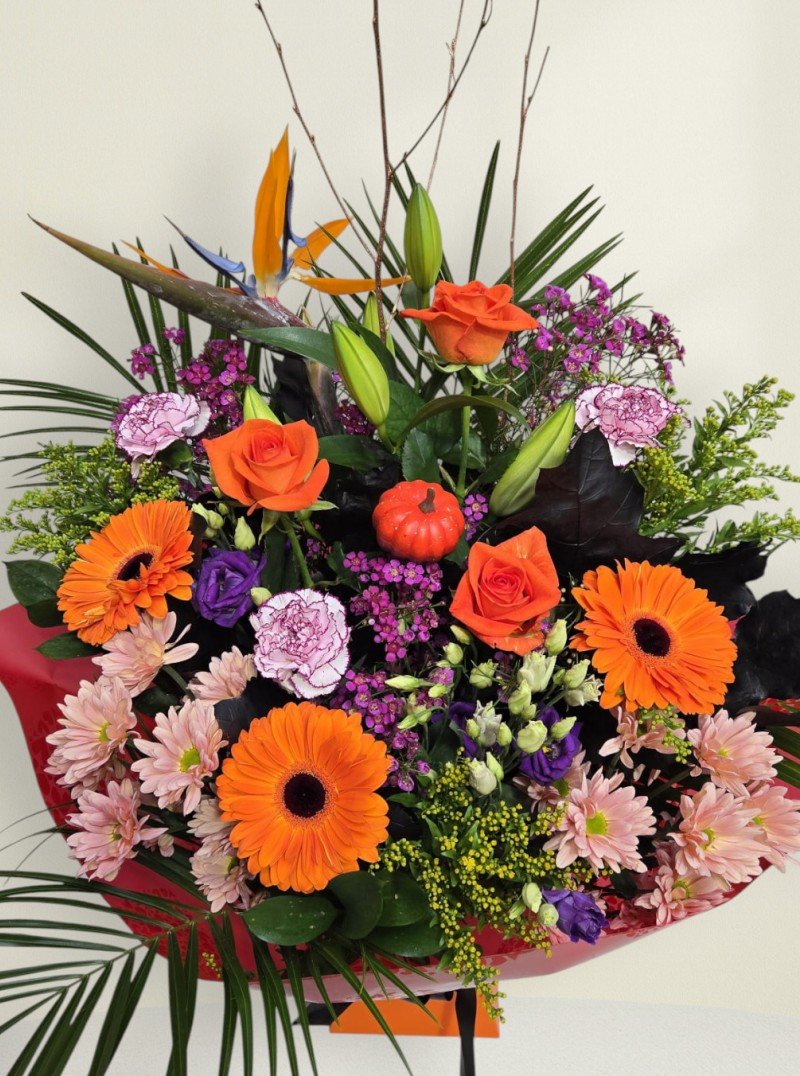 Autumn Enchantment Autumn Enchantment