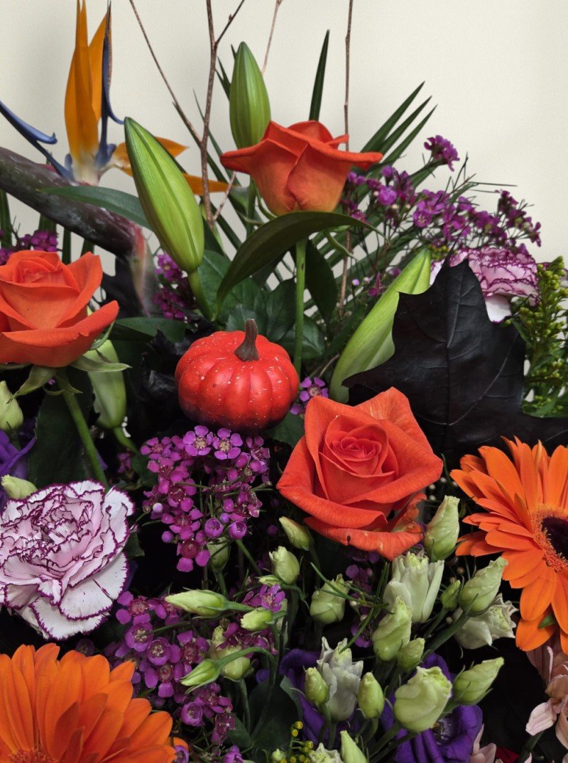 Autumn Enchantment Autumn Enchantment