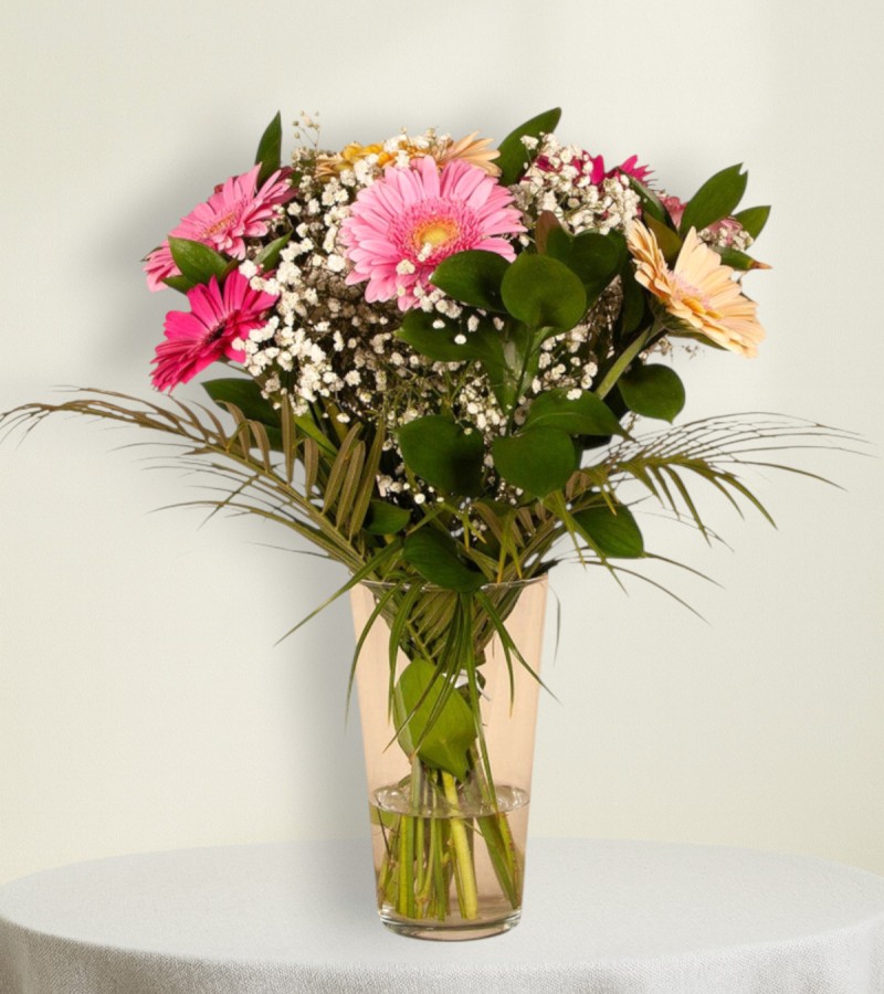 Gorgeous Gerbera Gorgeous Gerbera