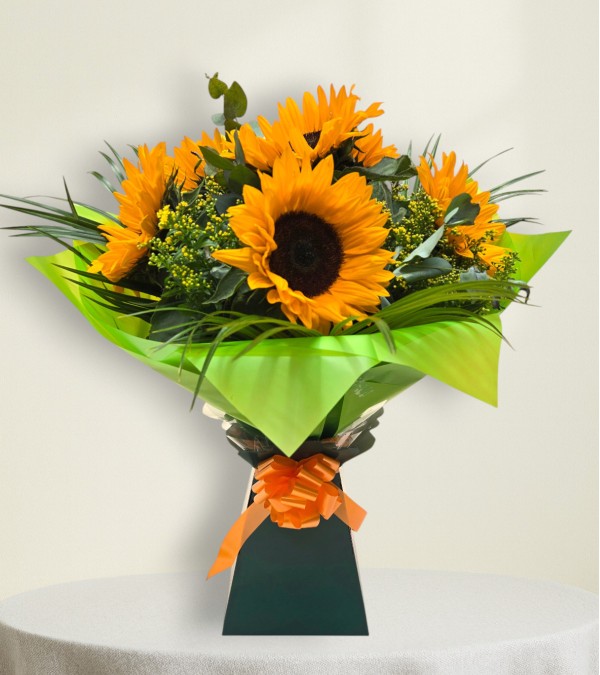 Sunflower Splash Sunflower Splash