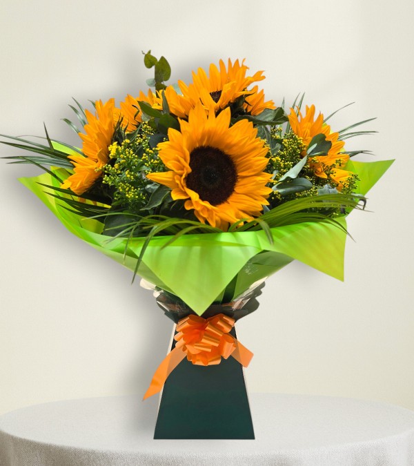 Sunflower Splash Sunflower Splash