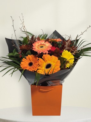 Autumnal Glow Autumnal Glow