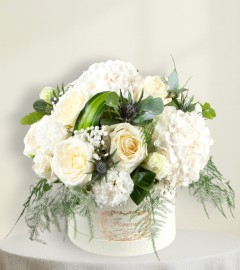 White Hatbox White Hatbox