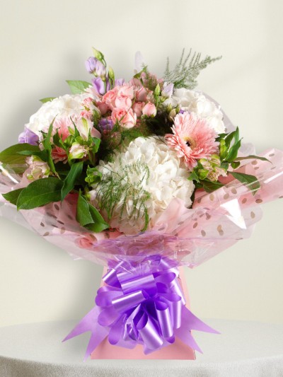 Perfect Present Perfect Present