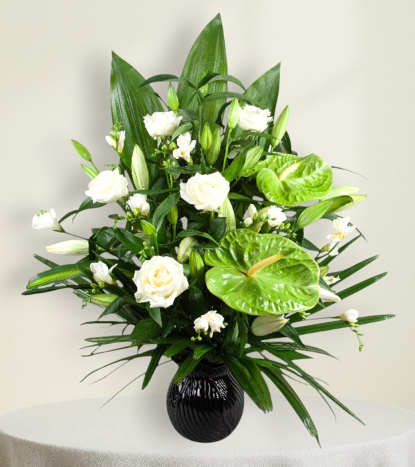 Classic Tribute Classic Tribute