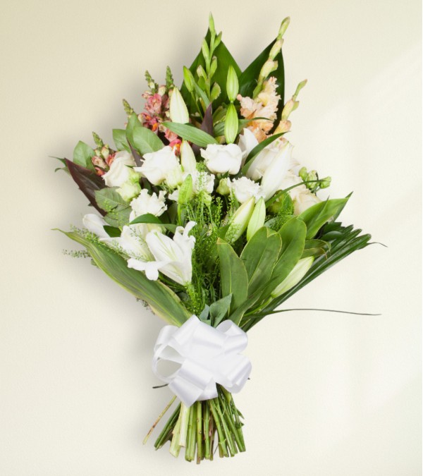 Sympathy Sheave Sympathy Sheave