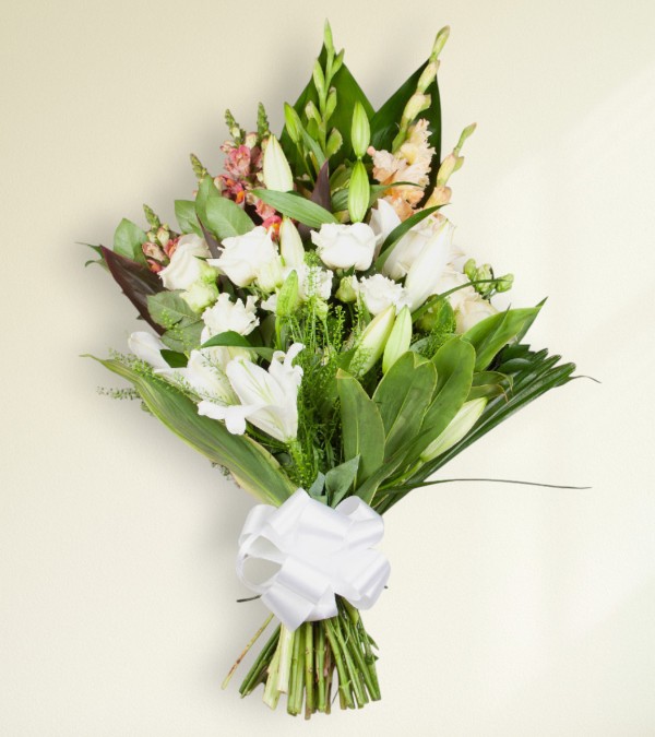 Sympathy Sheave Sympathy Sheave