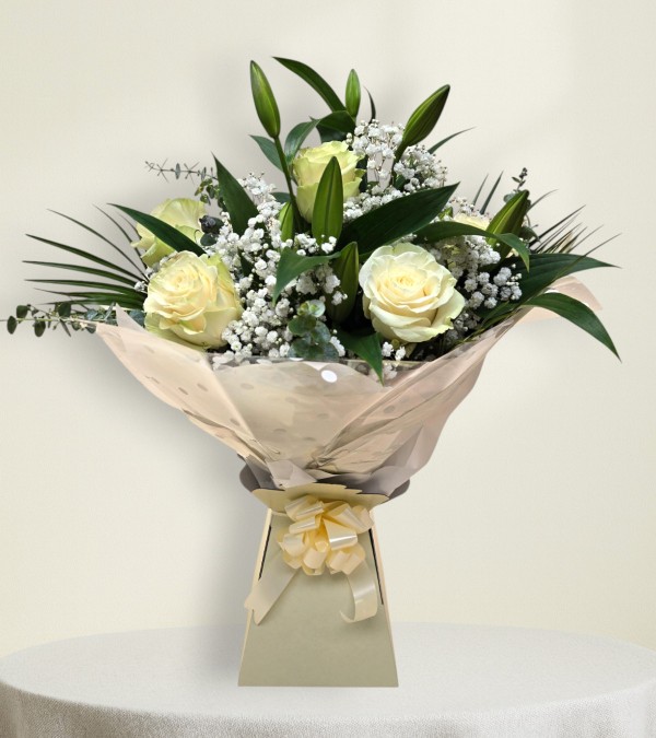 Soft & Elegant Soft & Elegant