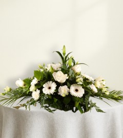 Sympathy Spray White