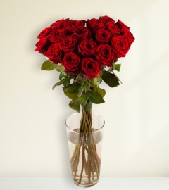 Red Heart Red Heart