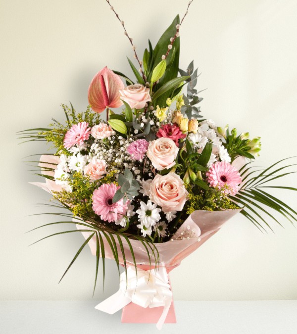 Soft Feelings Soft Feelings