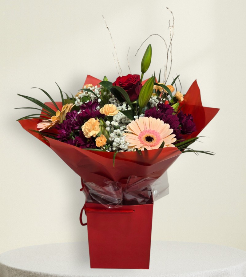 Festive Surprise Festive Surprise