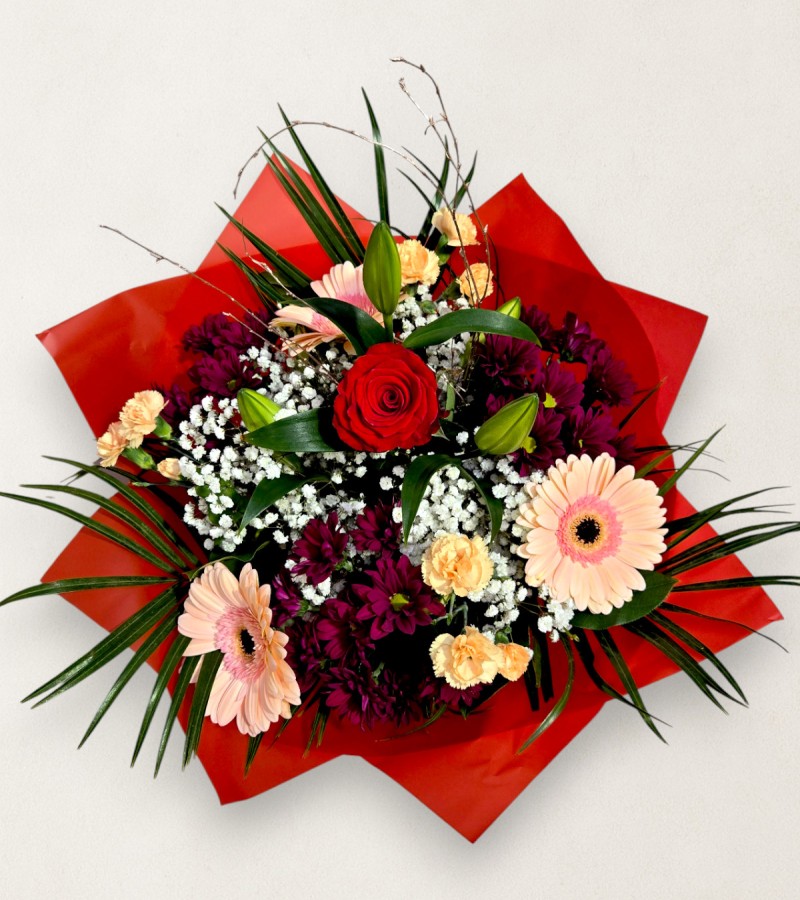 Festive Surprise Festive Surprise