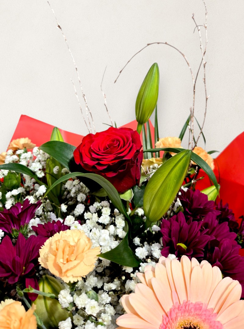 Petal Harmony Petal Harmony