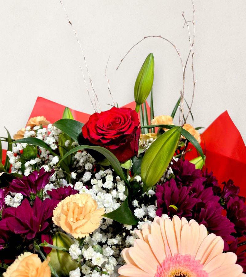 Festive Surprise Festive Surprise