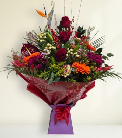 Winter Garden Winter Garden