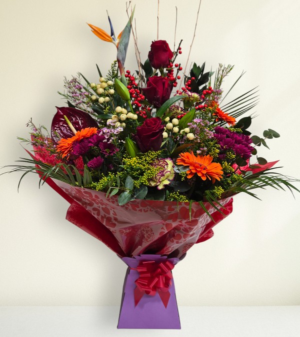 Winter Garden Winter Garden