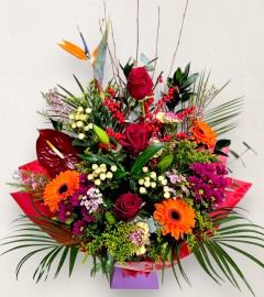 Winter Garden Winter Garden