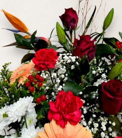 The Christmas Star The Christmas Star