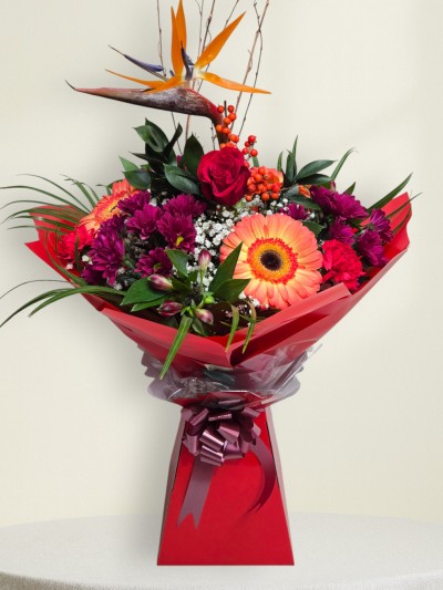 Festive Flame Festive Flame