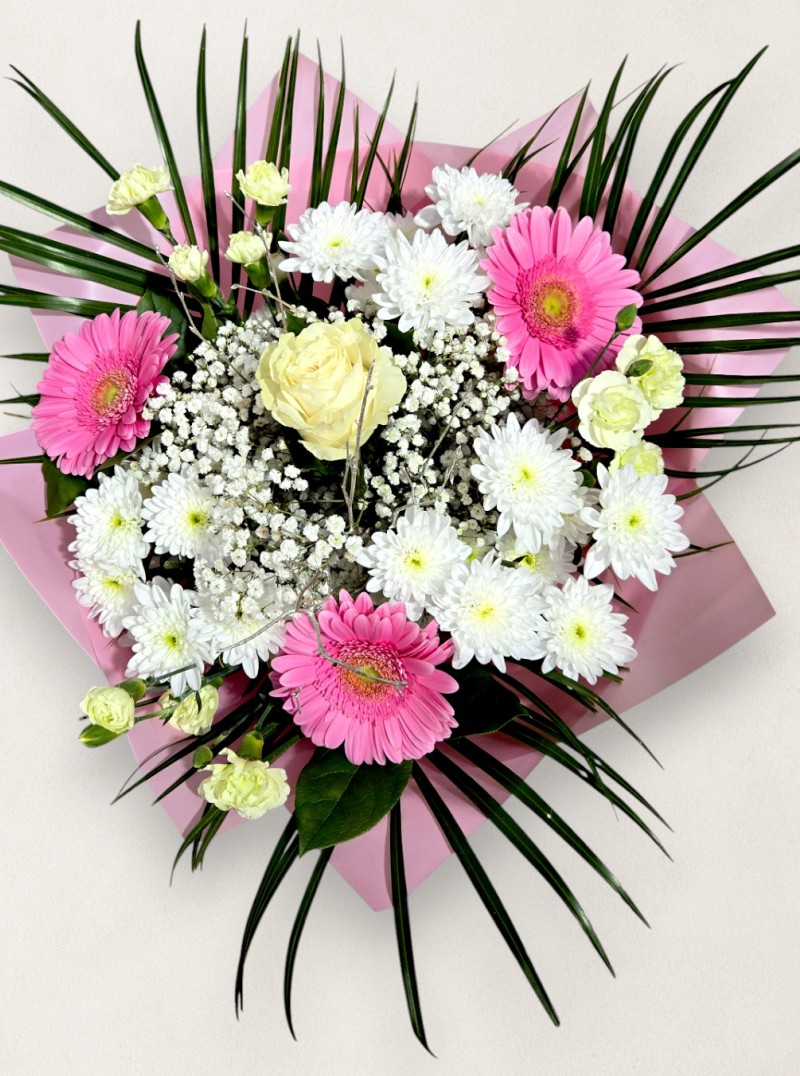 Pure & Simple Pure & Simple