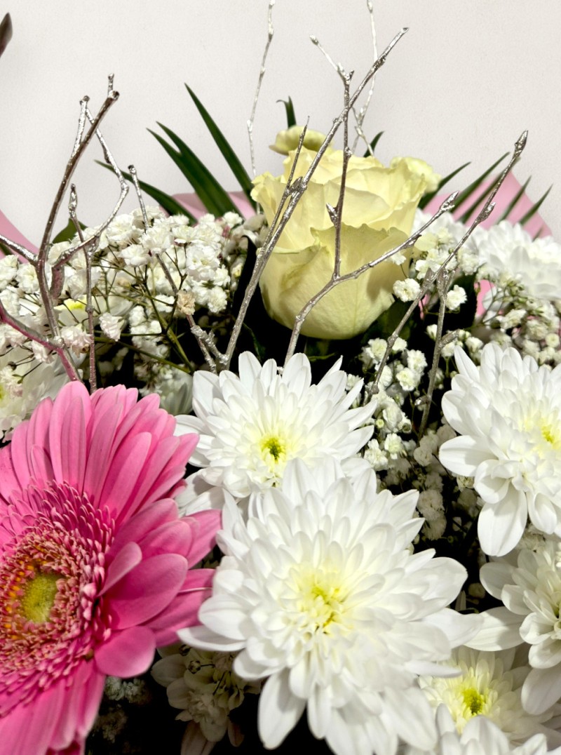 Pure & Simple Pure & Simple