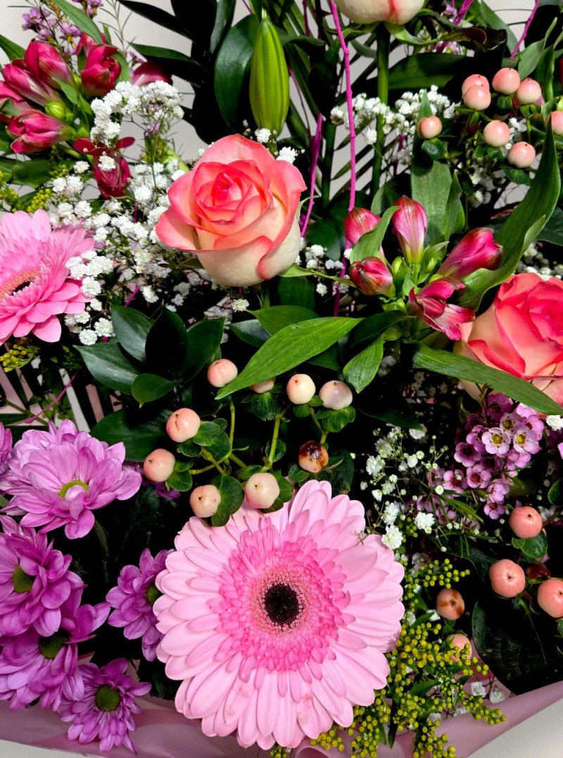 Rose Meadow Rose Meadow