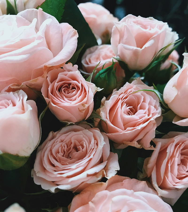 Custom Rose Bouquet Custom Rose Bouquet