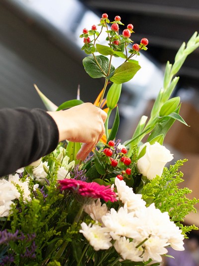 Florist's Choice  Florist's Choice