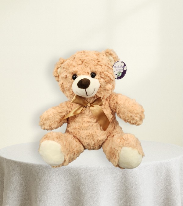 Teddy Bear Teddy Bear