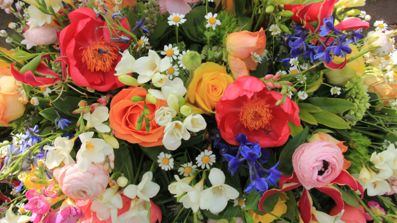 Birthday Flowers