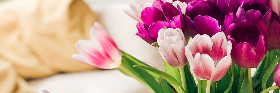 Flower Care Tips for your Bouquet