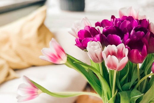 Flower Care Tips for your Bouquet