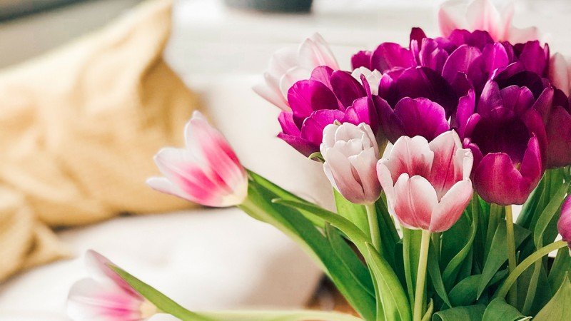 Flower Care Tips for your Bouquet