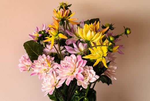 Flower Delivery Nationwide