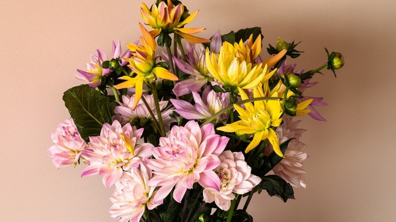 Flower Delivery Nationwide