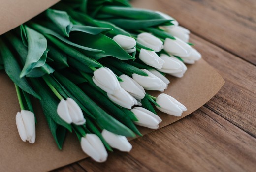 Flowers for August