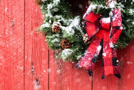 Festive Flowers to Transform Your Home This Christmas in Dublin