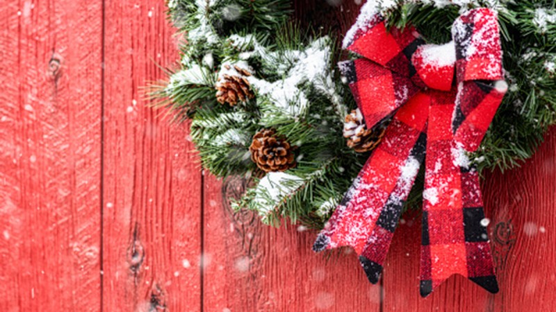 Festive Flowers to Transform Your Home This Christmas in Dublin