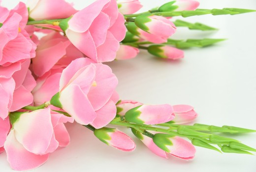 Pretty in Pink